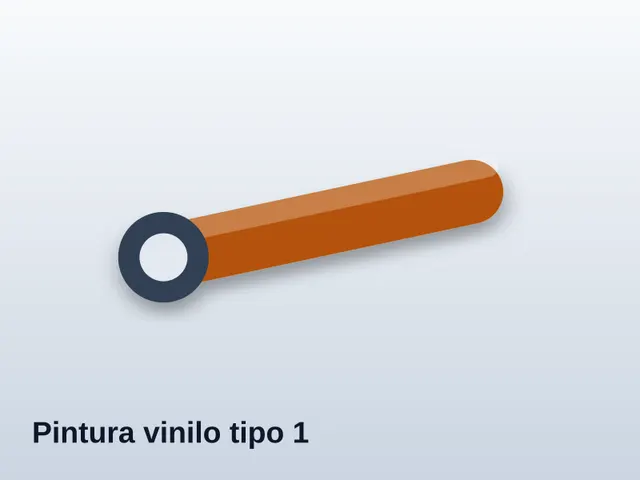 Pintura vinilo tipo 1